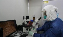 德国科学家爆料视频,揭秘科学界的惊人真相